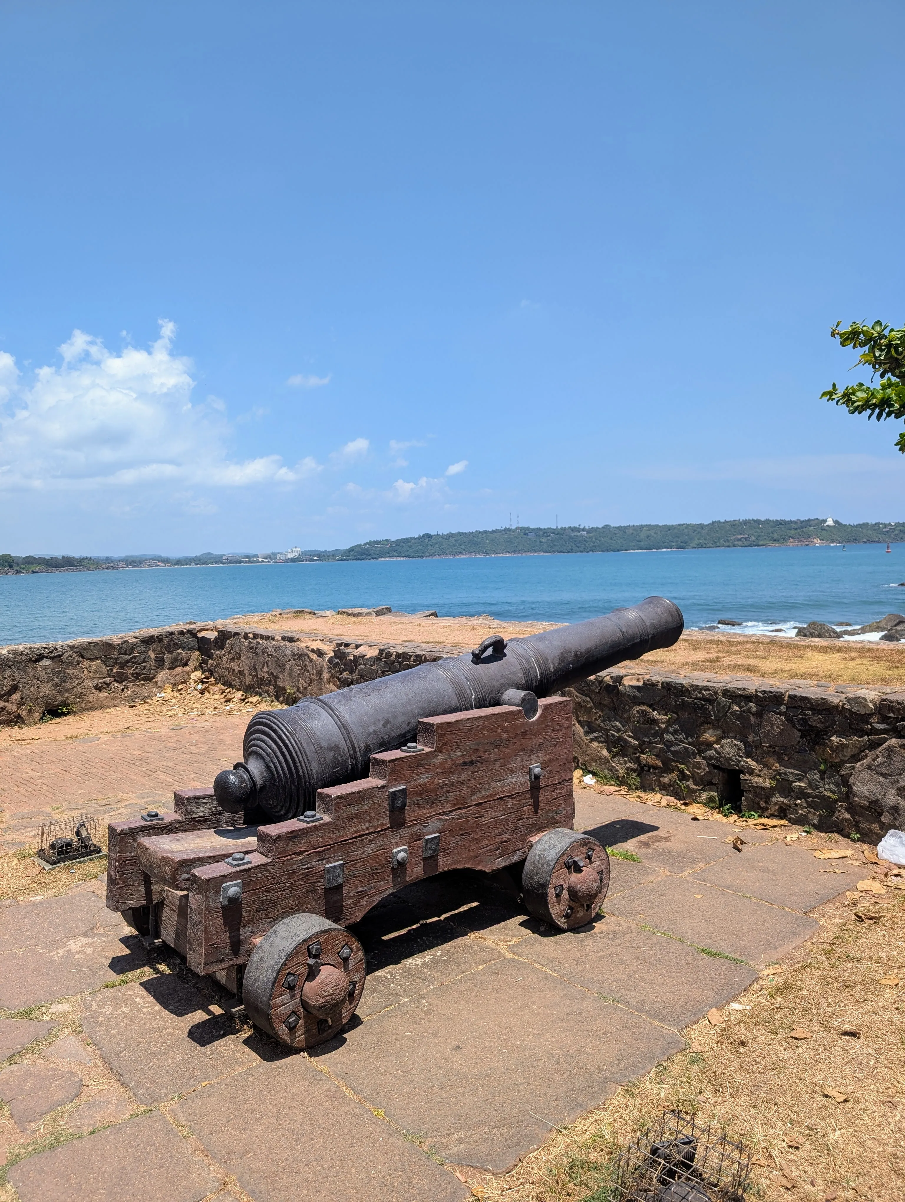 Cannon