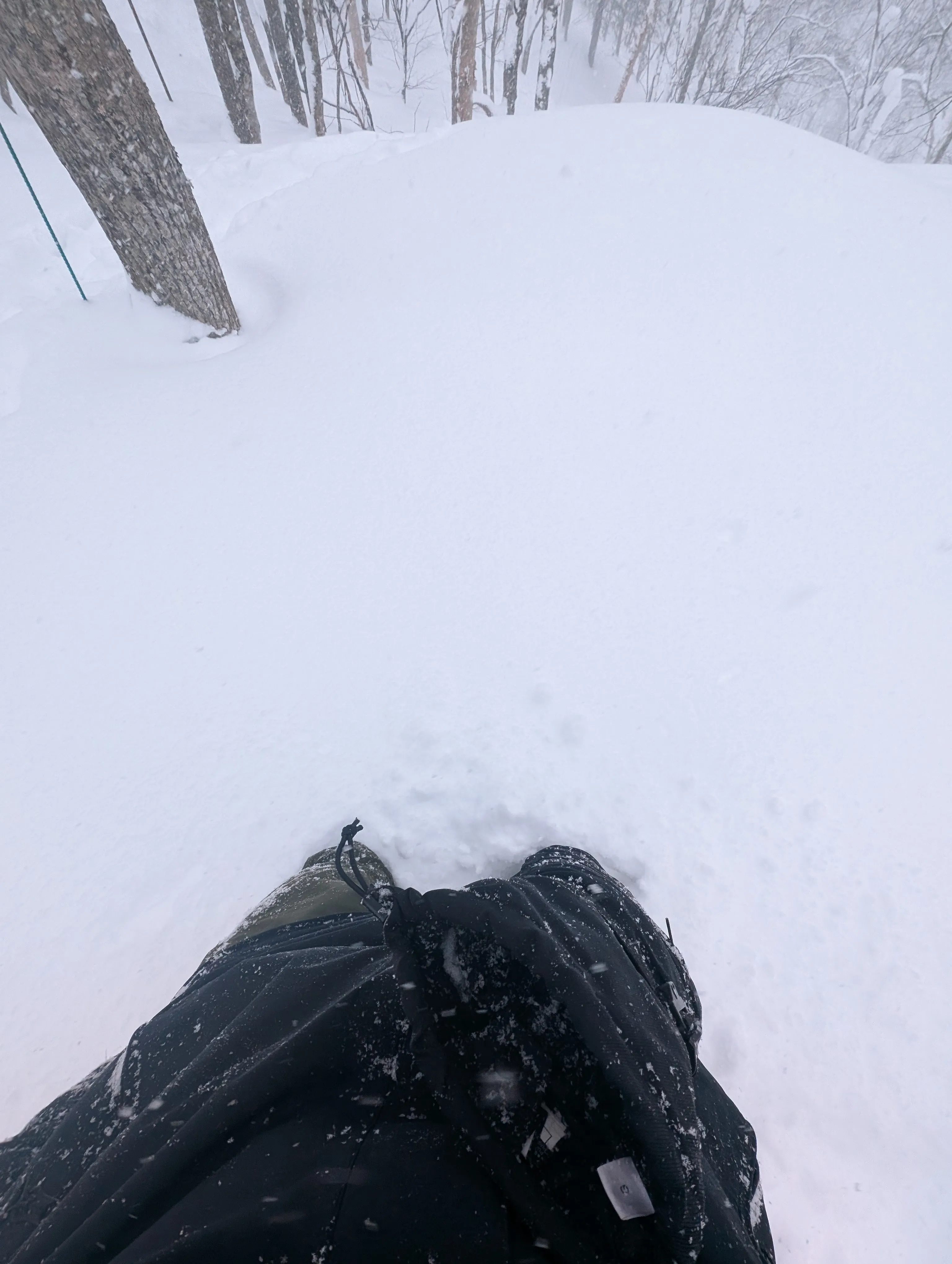 'Furano powder'