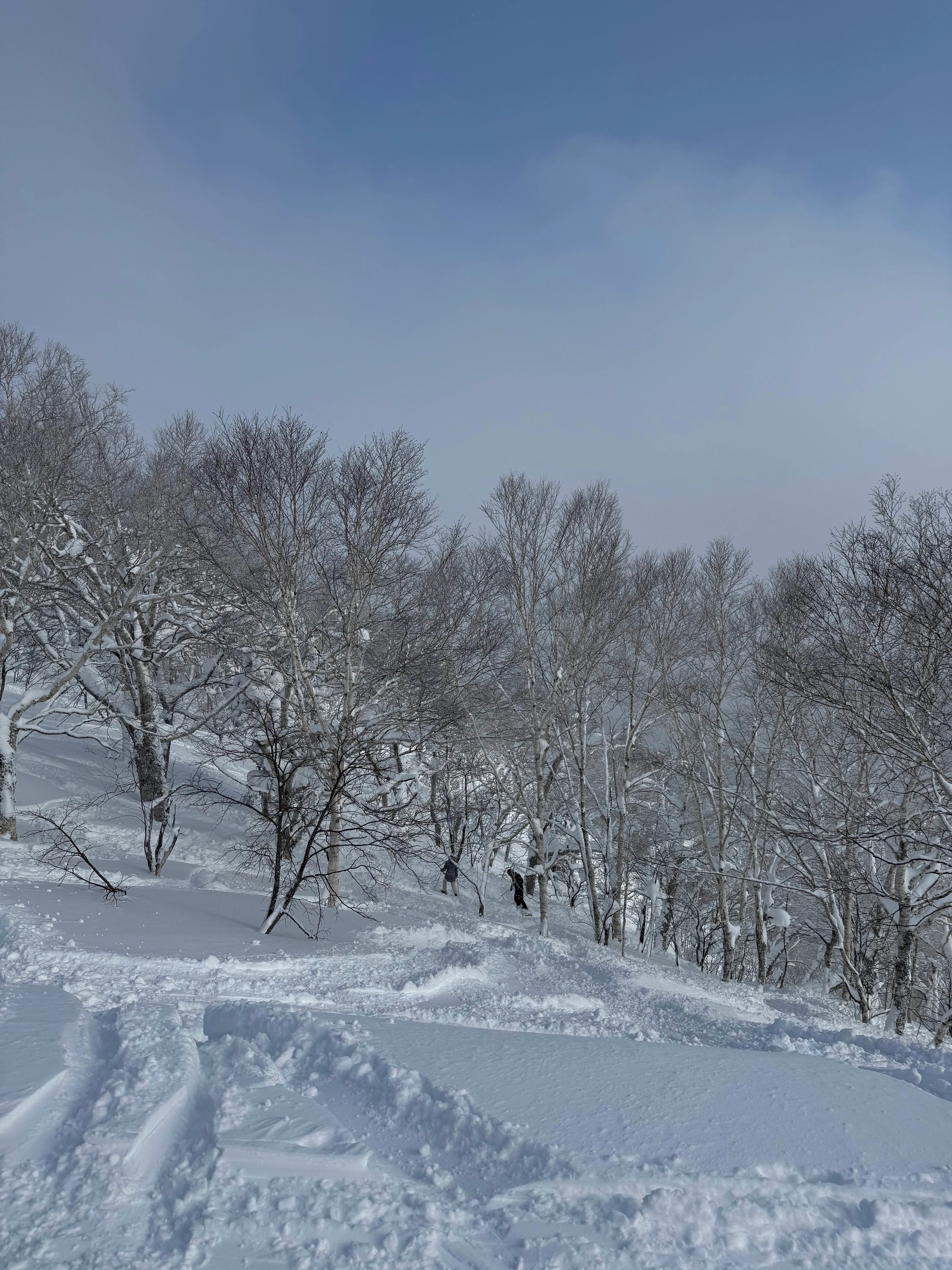 "Furano premium zone"