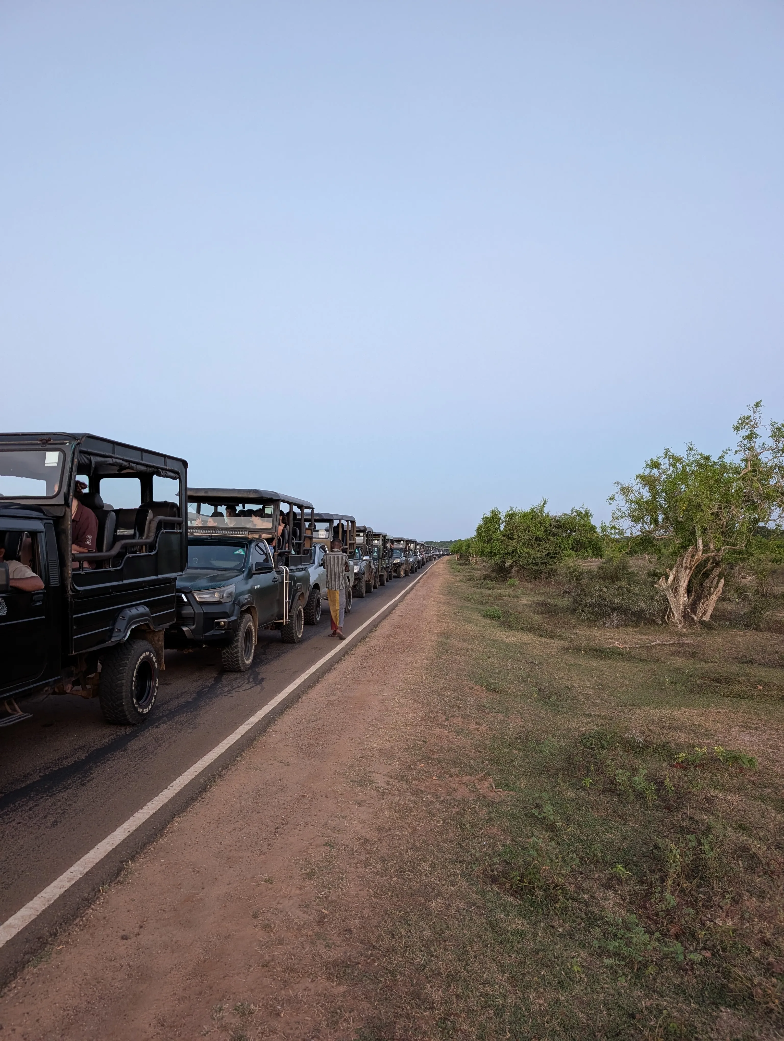 Jeeps
