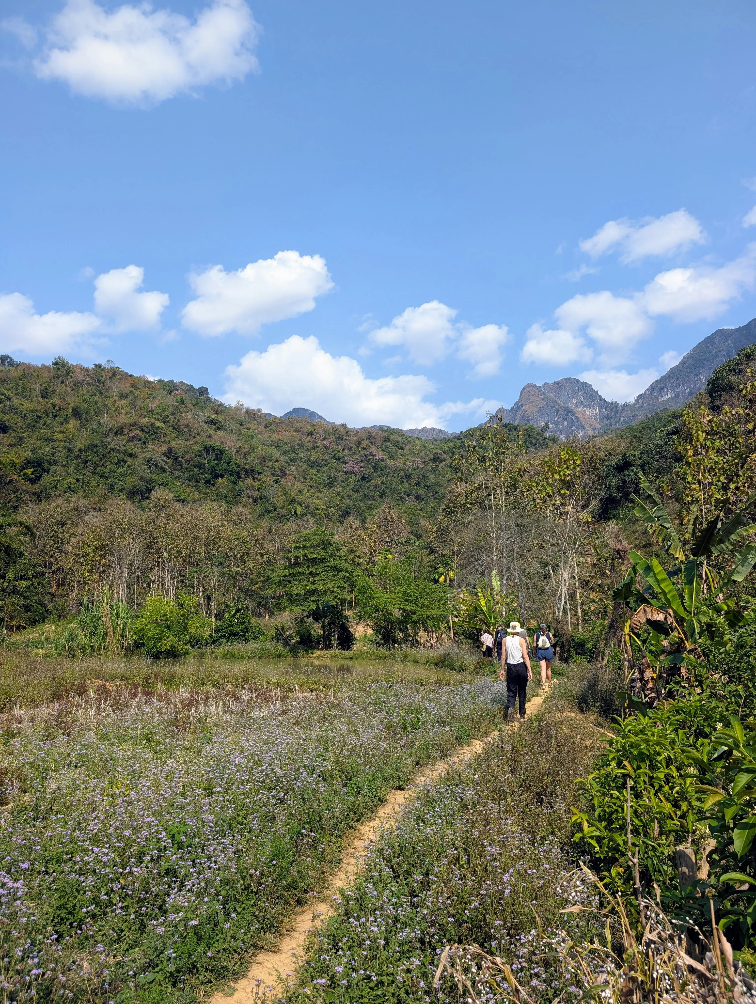 En route to waterfall